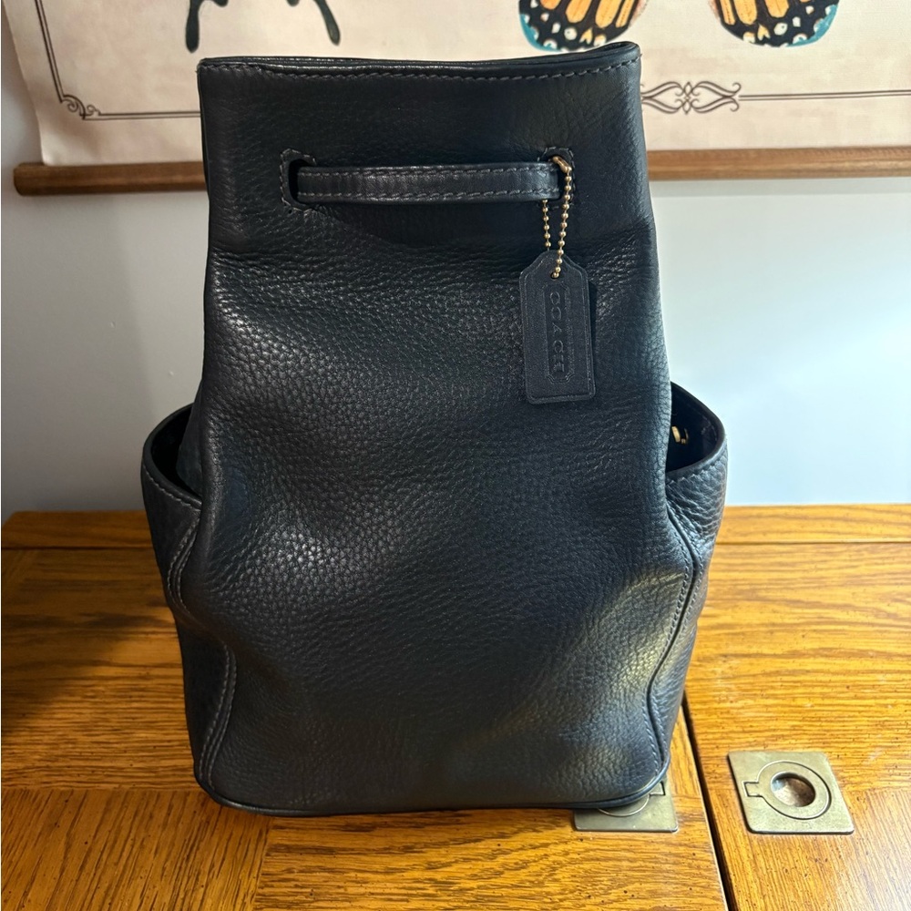 Coach Sonoma Sling Bag